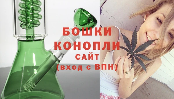 гидра Приозерск